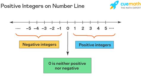 of the three digit positive integers|Positive Integers (Numbers) .